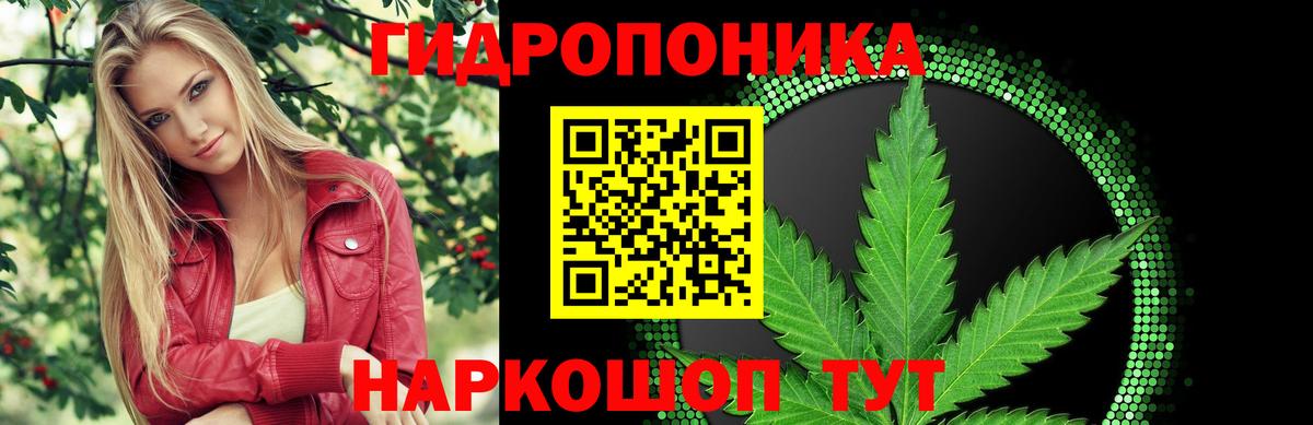 Каннабис план  Бошки Шишки тримм  Вход с VPN  Марихуана Ganja  Ленинск-Кузнецкий  Бошки Шишки план 